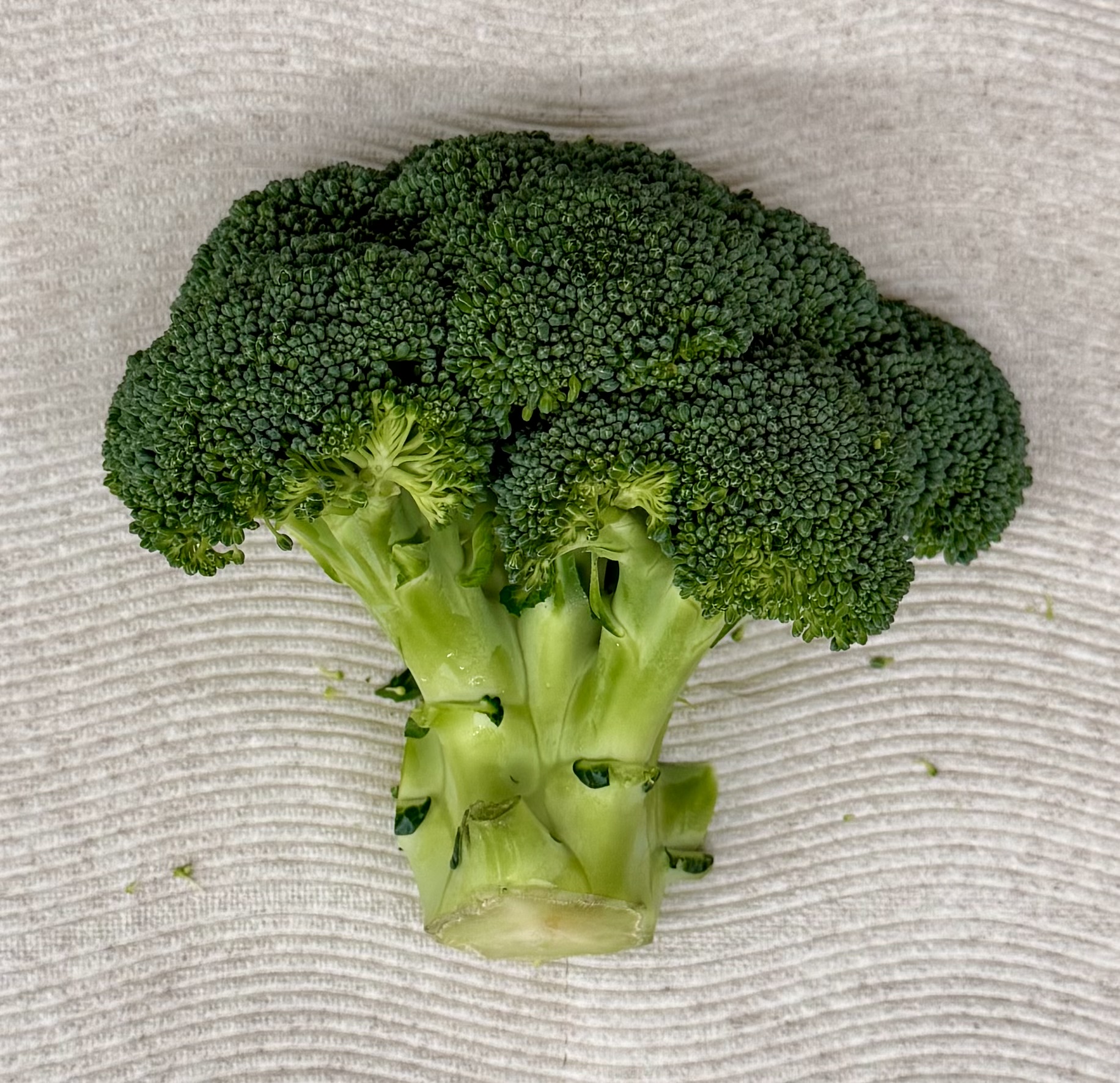 Broccoli