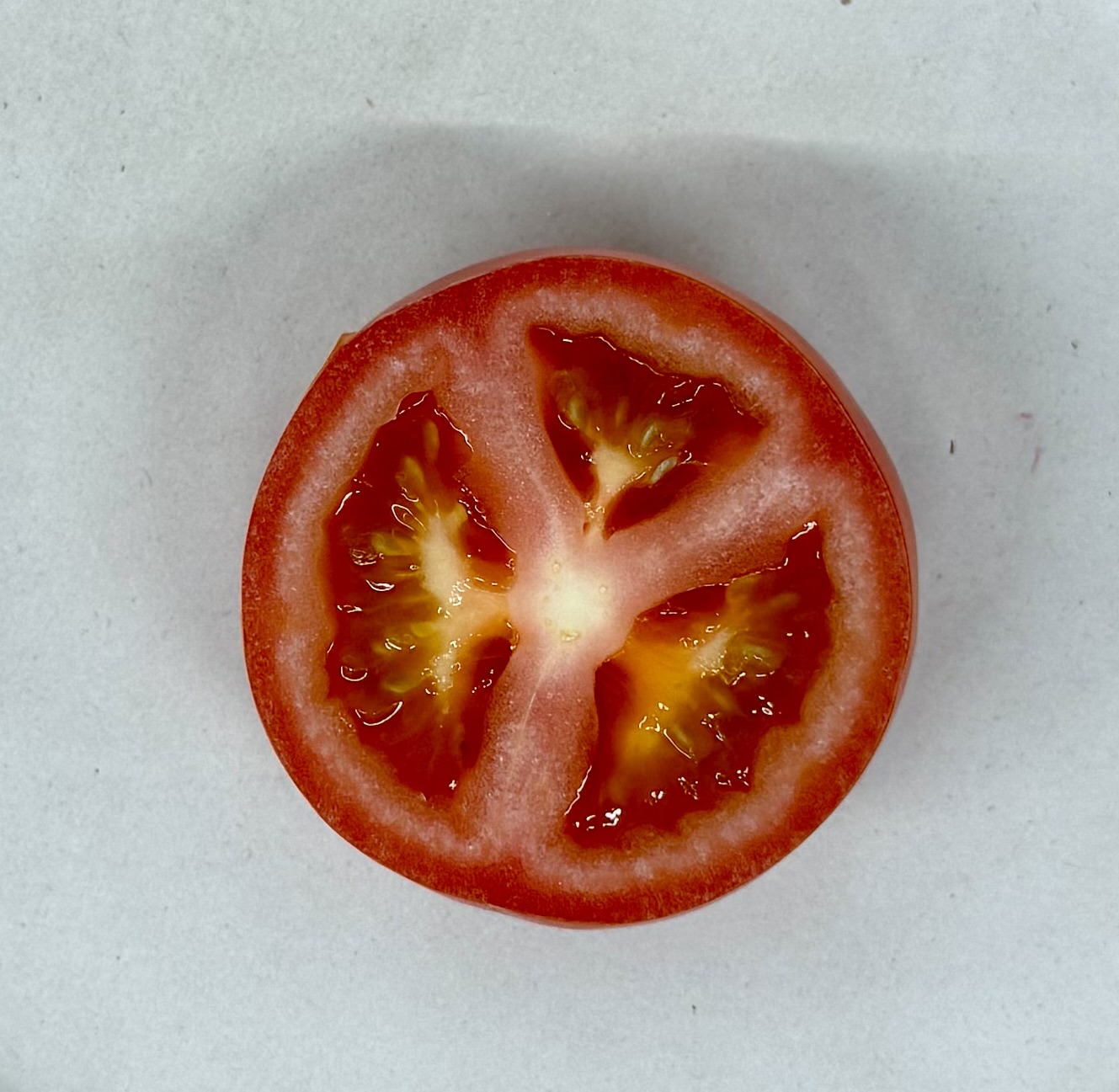 Tomato